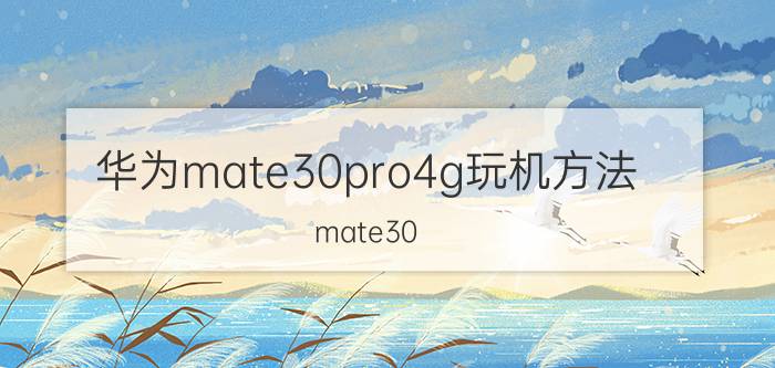 华为mate30pro4g玩机方法 mate30 pro怎么同时开4g5g？